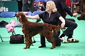 Crufts2011 255